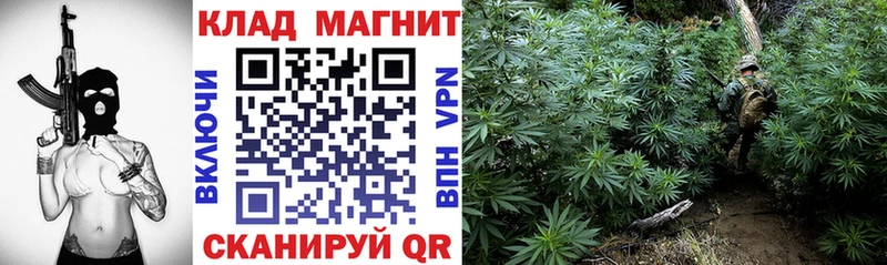 Купить закладку Гашиш  Alpha-PVP  Меф мяу мяу  МАРИХУАНА  Cocaine  Каменск-Шахтинский