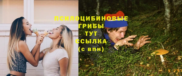 круглые Алзамай