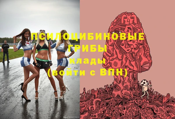 круглые Алзамай