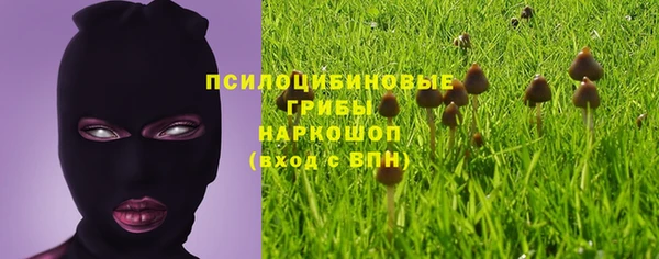 круглые Алзамай
