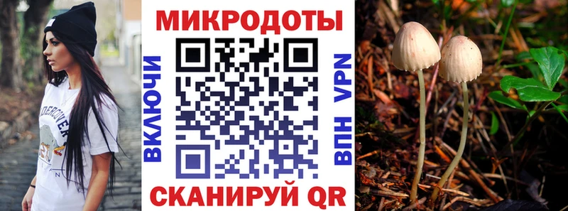 Купить где  Каменск-Шахтинский  Галлюциногенные грибы Psilocybe 